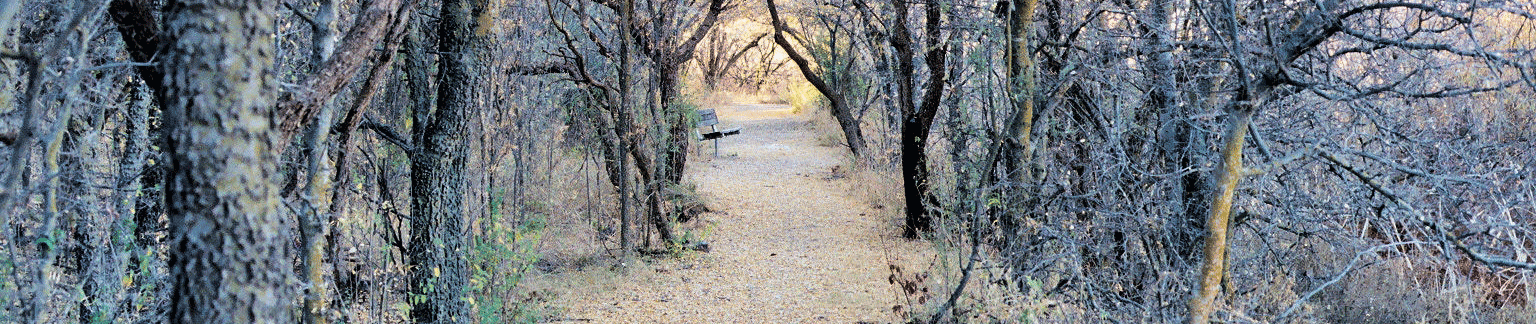 Buenes Aires National Wildlife Refuge in southern Arizona.