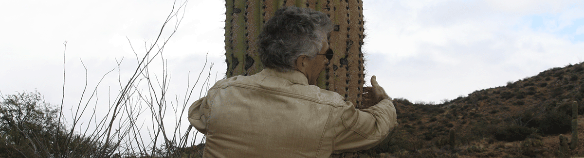 Hugging a sajuaro cactus? Not really.