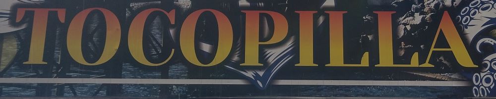 The coast of Tocopilla, Chile