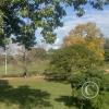 Parque San Carlos between Juan P. Garat and the river (3)
