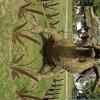 8-headed dragon sculpure in Parque Camba Cua