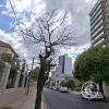 Calle Mendoza