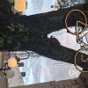 Lighted bicycle in a tree