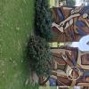 Mural releaf in Plaza Arazaty (2)