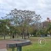 Parque Camba Cua