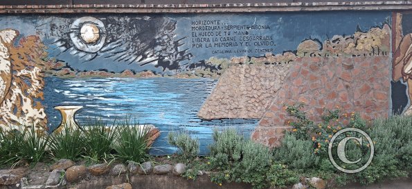 Peatonal y Mural de La Avenida Italia (5)