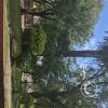 Plaza Torrent (2)