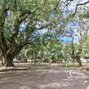 Plaza Torrent
