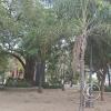 Plaza de La Cruz (2)