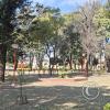 Main plaza (4)