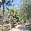 Main plaza (5)