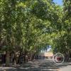 Av. Tomas Godoy Cruz y 9 de Julio (4)