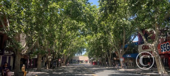 Av. Tomas Godoy Cruz y 9 de Julio (4)