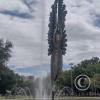 Parque Civico (18)