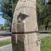 Parque O'Higgins at Jose Videla Castillo y Juan Bautista Alberdi (2)