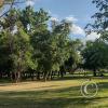 Parque San Martín (8)