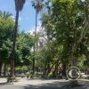 Plaza San Martin at Mariano Necochea y 9 de Julio