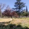 Plaza Sarmiento at Juan Galo de Lavalle y Buenos Aires (3)