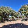 Parque La Piedad