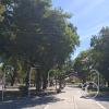 Plaza San Martin (7)