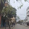 Calle 20 de Febrero (2)