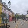 Calle Alvarado