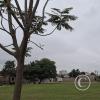 Calle Maximo Nougues
