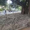 Plaza Gral. Pizarro (2)