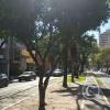 Av Sarmiento (2)