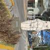 Av Sarmiento (7)