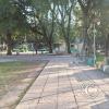 Plaza 25 de Mayo (13)