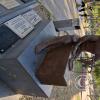 Plaza 25 de Mayo (2)
