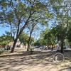 Plaza Belgrano (3)