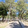 Plaza Belgrano
