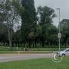 Looking at the park at Capitan Giachino y Av. Espana