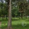 Paseo de La Costanera (7)