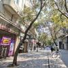 Peatonal Cordoba (5)
