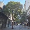 Peatonal Cordoba (6)
