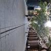 Peatonal Cordoba