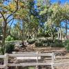 Garden along Av Manuel de Rosas