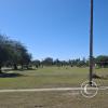Greenspace along Av Espana