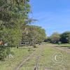 Greenspace along the railroad yard
