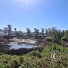 Pond reclamation at Plazoleta Demetrio Bezus