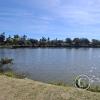 Unnamed pond at Av Sarmiento and Av Malvinas Argentinas