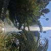Parque San Martin (3)