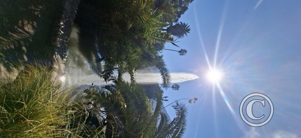Parque San Martin (3)