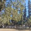 Plaza Atlantico Sur (3)