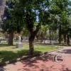 Plaza Juan Pascual Pringles (3)