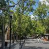 Peatonal Chile y Carlos Pellegrini