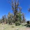 Parque Provincial Costanera Rio Quinto (2)